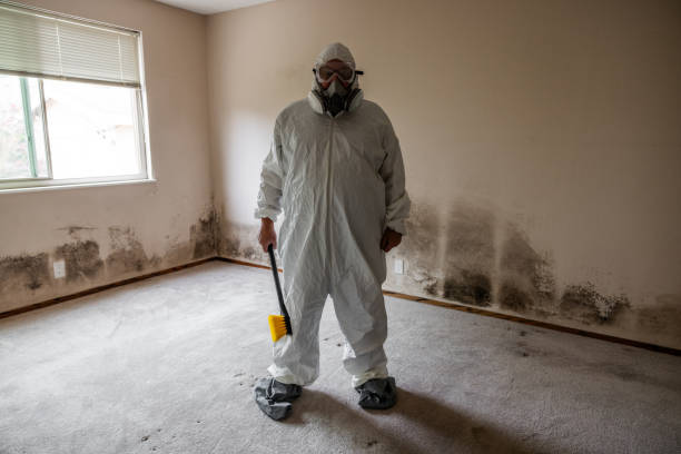 Best Fast Mold Removal  in Fairview, NJ